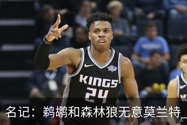 名记：鹈鹕&森林狼无意莫兰特 热火也不急于尝试其与字母哥的搭档