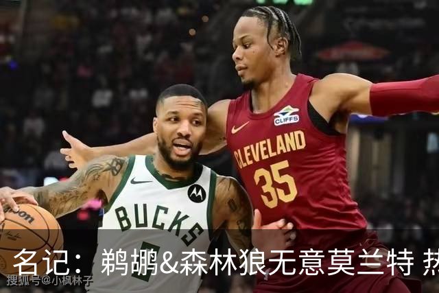 名记：鹈鹕&森林狼无意莫兰特 热火也不急于尝试其与字母哥的搭档
