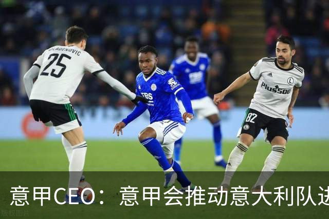 意甲CEO：意甲会推动意大利队进步 国家队低迷原因得追溯到20年前